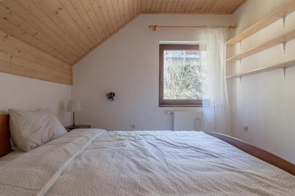 Chalet Mia - Family Cottage, Kranjska Gora 戈德马图杰克 外观 照片